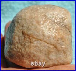 Dinosaur Skull & Bones Ball Joint Fossil Gembone Petrified Jewlry 336g-11.9oz