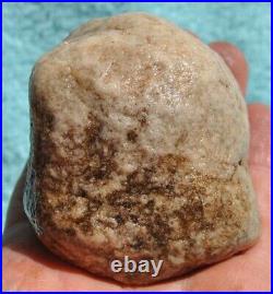 Dinosaur Skull & Bones Ball Joint Fossil Gembone Petrified Jewlry 336g-11.9oz