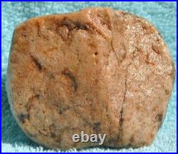 Dinosaur Skull & Bones Ball Joint Fossil Gembone Petrified Jewlry 336g-11.9oz