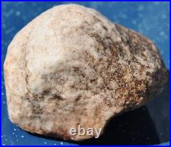 Dinosaur Skull & Bones Ball Joint Fossil Gembone Petrified Jewlry 336g-11.9oz