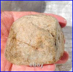 Dinosaur Skull & Bones Ball Joint Fossil Gembone Petrified Jewlry 336g-11.9oz