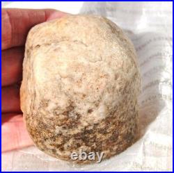 Dinosaur Skull & Bones Ball Joint Fossil Gembone Petrified Jewlry 336g-11.9oz