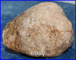 Dinosaur Skull & Bones Ball Joint Fossil Gembone Petrified Jewlry 336g-11.9oz