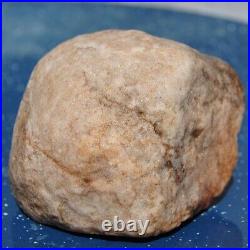 Dinosaur Skull & Bones Ball Joint Fossil Gembone Petrified Jewlry 336g-11.9oz