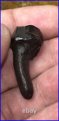 Dire Wolf Tooth Fossil Florida Bone Ice Age RARE Smilodon Make Offer