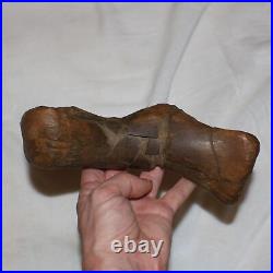 Edmontosaurus Metatarsal Bone Dinosaur Fossil Hell Creek Formation Cretaceous