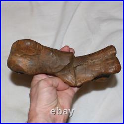 Edmontosaurus Metatarsal Bone Dinosaur Fossil Hell Creek Formation Cretaceous