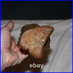 Edmontosaurus Metatarsal Bone Dinosaur Fossil Hell Creek Formation Cretaceous