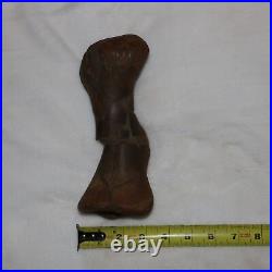 Edmontosaurus Metatarsal Bone Dinosaur Fossil Hell Creek Formation Cretaceous