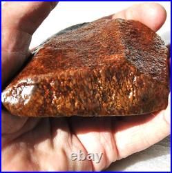 Fossil Dinosaur Bone Crimson Pirate Healing Lucky Meditation Stone 176gr-6.2oz