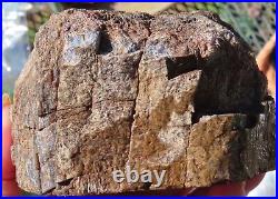 Fossil Dinosaur Bone Specimen DP27-Jurassic/Morrison Formation