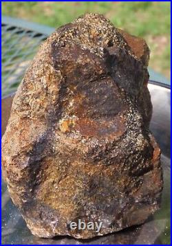 Fossil Dinosaur Specimen Bone-DP26-Jurassic/Morrison Formation