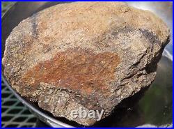 Fossil Dinosaur Specimen Bone-DP26-Jurassic/Morrison Formation