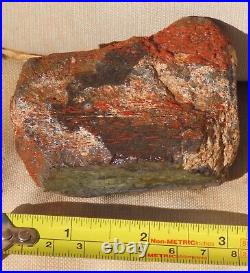 Fossil Dinosaur Specimen Bone DS27-Jurassic Morrison Formation