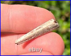 Fossil Pterosaur Jaw Beak Dinosaur Bones RARE Kem Kem Morocco Cretaceous Era