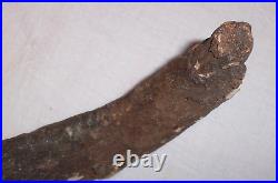 Fossil Rib Bone 9.25 A Mystery Dinosaur or Ancient Mammal