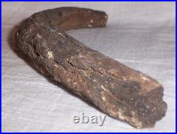 Fossil Rib Bone 9.25 A Mystery Dinosaur or Ancient Mammal