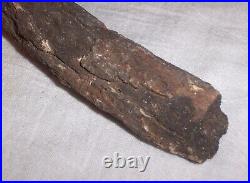 Fossil Rib Bone 9.25 A Mystery Dinosaur or Ancient Mammal