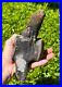 Fossil Tylosaurus Mosasaur Vertebrae MUSEUM QUALITY Texas Ozan Fm Dinosaur Bones