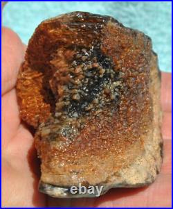 Fossilized Dinosaur Bone Jewelry Grade Agatized Golden Black Heart 200gr-7.1oz