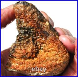 Fossilized Dinosaur Bone Jewelry Grade Agatized Golden Black Heart 200gr-7.1oz