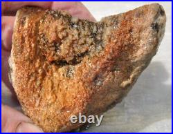 Fossilized Dinosaur Bone Jewelry Grade Agatized Golden Black Heart 200gr-7.1oz