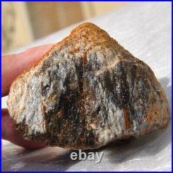 Fossilized Dinosaur Bone Jewelry Grade Agatized Golden Black Heart 200gr-7.1oz