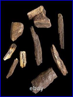Fossils Bones Minerals, Rocks found in storage locker. With Display Boxes