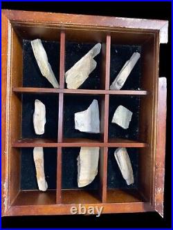 Fossils Bones Minerals, Rocks found in storage locker. With Display Boxes