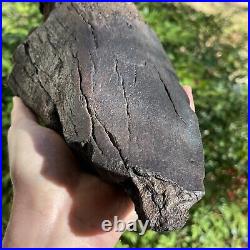 Fully Mineralized Extinct Baleen Whale Jaw Bone Fossil Segment- Not Modern