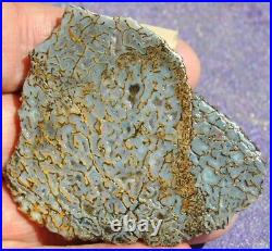 Gem Bone Dinosaur Fossil Golden Trails Agatized Petrified Jurassic 35gr-1¼oz