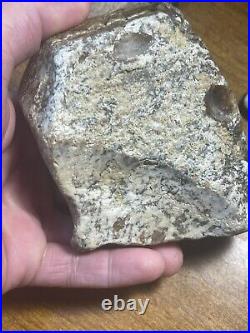 Gem Bone Slab All Natural