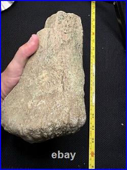 Giant Cretaceous Period Hadrosaur Tibia Bone Fossil North Mississippi