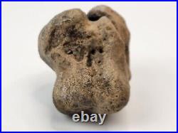 Glyptodont Astragalus (Ankle Bone) Fossil South America