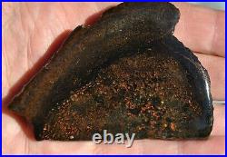 Golden Chocolate Rainbow Dinosaur Bone Fossil Agatized Petrified 93gr-3.3oz