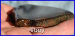 Golden Chocolate Rainbow Dinosaur Bone Fossil Agatized Petrified 93gr-3.3oz