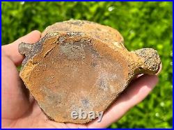 HUGE Fossil Tylosaurus Mosasaur Vertebrae Texas Dinosaur Bones Ozan Formation