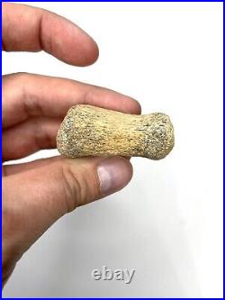 Hadrosaur Dinosaur Carpal (Finger) Bone Fossil Two Medicine Fm Teton Co, MT