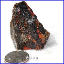 Holistic Healing Dinosaur Gembone Midnight Dragon Fossil Philosophy 114gr