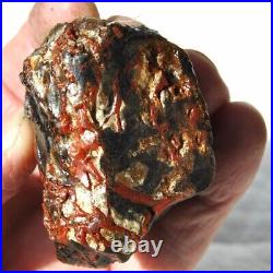 Holistic Healing Dinosaur Gembone Midnight Dragon Fossil Philosophy 114gr