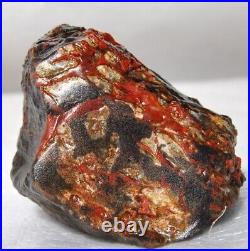 Holistic Healing Dinosaur Gembone Midnight Dragon Fossil Philosophy 114gr