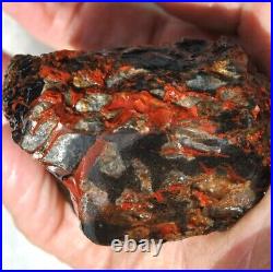 Holistic Healing Dinosaur Gembone Midnight Dragon Fossil Philosophy 114gr