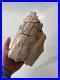 Huge 5lb Hadrosaur Authentic Fossil Dinosaur Bone Judith River Formation Montana