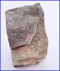 Huge Fossil Dinosaur Polished Blue Gembone 1878 gms Morrison Fm. Utah UT COA5708
