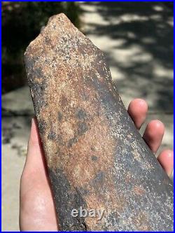 Huge / Heavy Fossilized Extinct Baleen Whale Rib Bone Fossil Segment- Not Modern