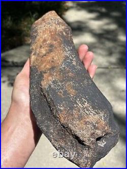 Huge / Heavy Fossilized Extinct Baleen Whale Rib Bone Fossil Segment- Not Modern