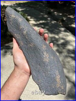 Huge / Heavy Fossilized Extinct Baleen Whale Rib Bone Fossil Segment- Not Modern