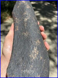 Huge / Heavy Fossilized Extinct Baleen Whale Rib Bone Fossil Segment- Not Modern