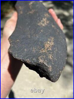 Huge / Heavy Fossilized Extinct Baleen Whale Rib Bone Fossil Segment- Not Modern