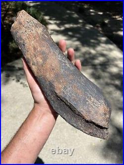 Huge / Heavy Fossilized Extinct Baleen Whale Rib Bone Fossil Segment- Not Modern